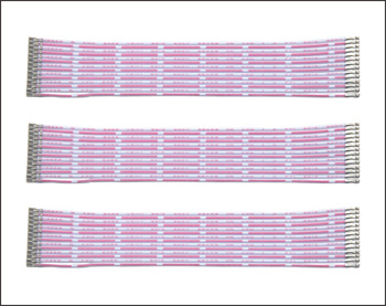 ����˫ͷ���